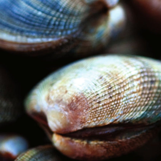 Who cares about closed clams?