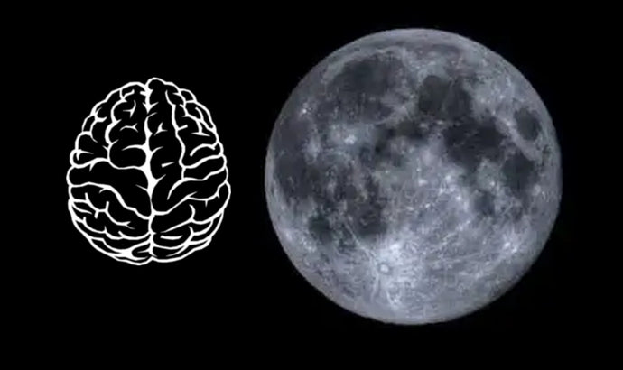 Test out your moon brain